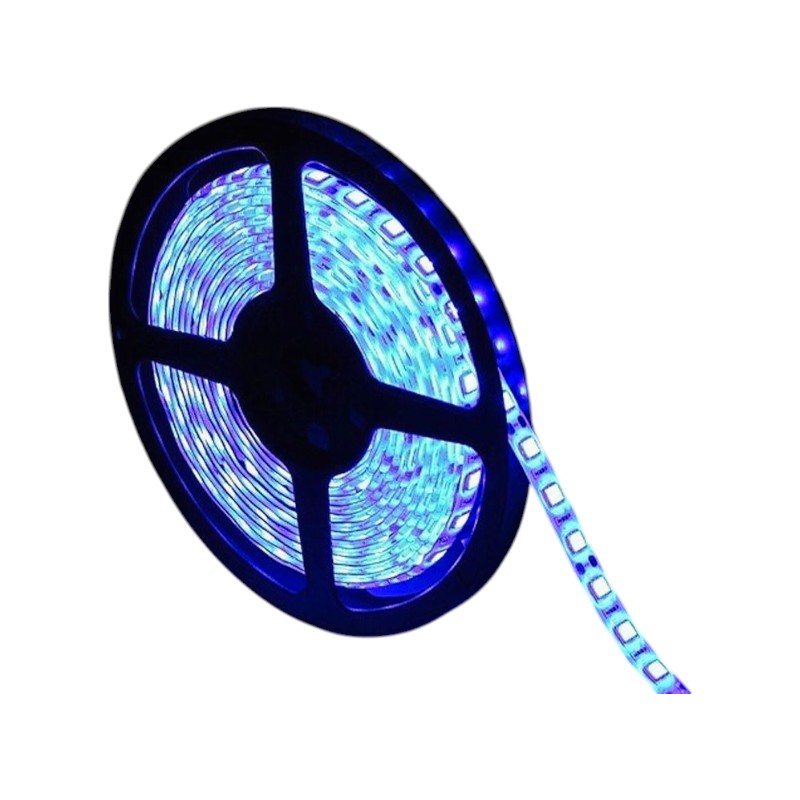 LED film - LED Strip - IP65 - 5M - Blue - 891201