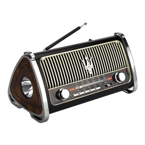 Rechargeable Radio - M523BT - 865253