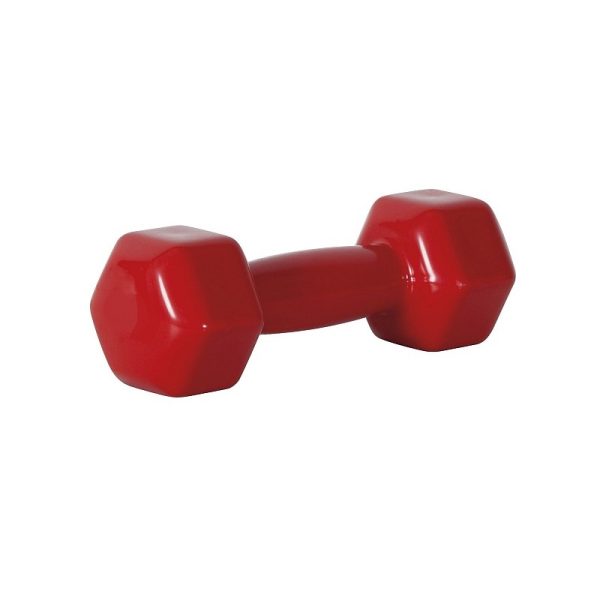 Gymnastics Anti -slip - 8101 - 10kg - 556621